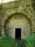 Image for Moseley Green Tunnel, Forest of Dean, UK