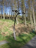 Image for Red Kite, Bwylsh Nant Yr Ariain, Ponterwyd, Ceredigion, Wales, UK