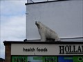 Image for Polar Bear - Witby,Yorshire,UK