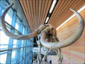 Image for Columbian Mammoth, Southeast Wyoming Welcome Center - Wyoming