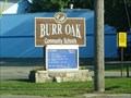 Image for Burr Oak School, Burr Oak, Michigan