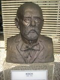 Image for MEDICINE: Robert Koch 1905 - Sao Paulo, BRAZIL