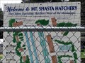 Image for Mount Shasta Fish Hatchery - Mount Shasta, CA