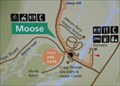 Image for Moose - Wyoming
