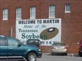 Image for Tennessee Soybean Festival - Martin, TN