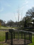 Image for North Carolina Liberty Tree - Freedom Park - Charlotte, NC