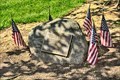Image for September 11, 2001 Memorial Tree - Millburn, NJ