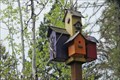 Image for Birdhouse Built for Five - Sandpoint, Idaho