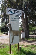 Image for Almara Alpacas  -  Valley Center, CA