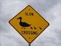 Image for Duck Crossing - Denton, TX