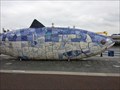 Image for Kiss the Salmon of Knowledge - Belfast, Northern Ireland