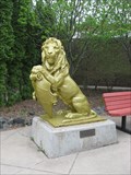 Image for Zoo Lions – Duluth, MN