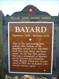 Image for Bayard