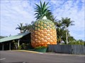 Image for The Big Pineapple, Woombye, Queensland, Australia