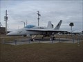 Image for F-18C Hornet - NAS Cecil Field