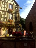 Image for La fontaine Constantin (Alsace)