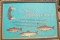 Image for The Trout of Burney Creek - California