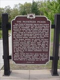 Image for The Passenger Pigeon Historical Marker