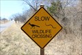 Image for Wildlife Crossing - Hagerman National Wildlife Refuge - Grayson County, TX