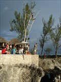 Image for Diving Tree, Rick´s Café - Negril, Jamaica