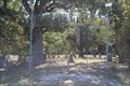 Image for Bethel Cemetery - Greenville, TX