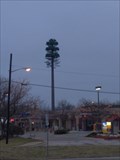 Image for The Funky Tree (Robins nest) - West Bloomfield, MI