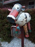 Image for Bull Mailbox - Stroud, NSW, Australia