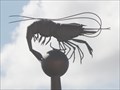 Image for Shrimp On A Pole - Southport, UK