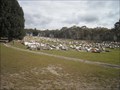 Image for Portland Cemetery - Portland, NSW