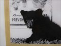 Image for Grave of Smokey Bear - Capitan, NM