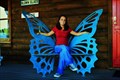 Image for Butterfly Chair Sautee, GA