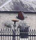 Image for Butterfly and dandelion - Darlington, England