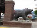 Image for Grizzly Bear - Revelstoke, British Columbia