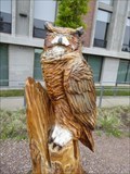 Image for Owl - Westfield State University - Westfield, MA