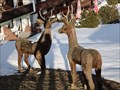 Image for The Deers - Jungholz, Austria, TIR