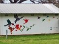 Image for Hummingbirds - Bastrop, TX