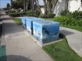 Image for Sea Monster Boxes - Imperial Beach, CA