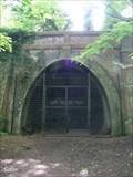 Image for Crescent Wood Tunnel