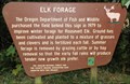 Image for Elk Forage - Oregon