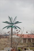 Image for Electric Palm Trees - Kingsville, Ontario - Canada