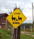Image for Llama Crossing - Allschwil, BL, Switzerland