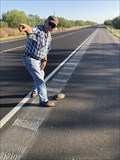 Image for Red-Eared Slider Turtle Crossing - Jones County, Texas