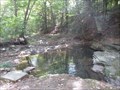 Image for SGL 158 Swimming Hole - Bellwood, PA