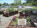Image for VAPAHCS Community Garden - Palo Alto, CA