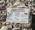 Image for Fauna of the Calanques - Cassis, France