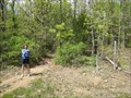Image for Buford Mountain Trail - Missouri
