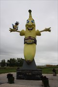 Image for World's Largest Banana -- Melita MB