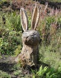 Image for Rabbit - Ecklands, UK