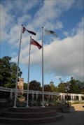 Image for Municipal Flag at Brampton City Hall