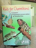 Image for Chameleon Cutout - Toronto Zoo - Toronto, Ontario